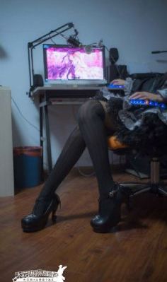 我去哪儿